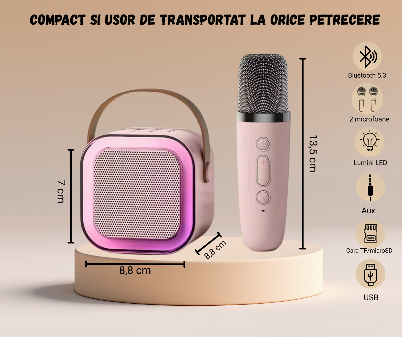 Set de karaoke pentru 2 persoane